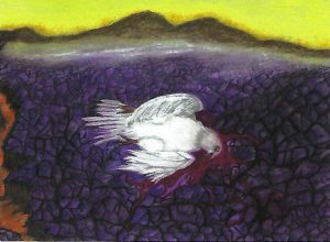 TRANSGRESION - Hijos e hijas de lo que engendramos...