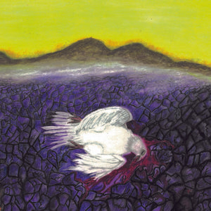 TRANSGRESION - Hijos e hijas de lo que engendramos...